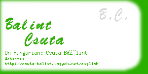 balint csuta business card